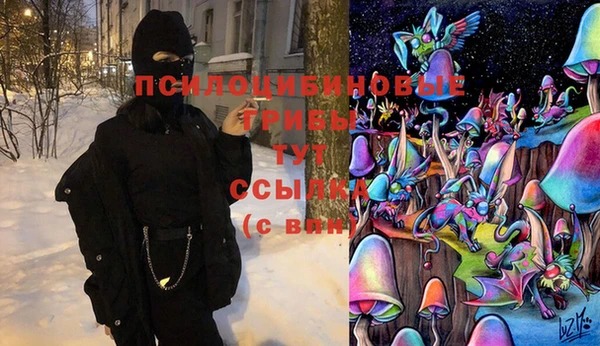 трава Арсеньев
